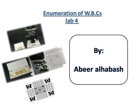 Enumeration of W.B.Cs lab 4