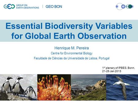 Essential Biodiversity Variables for Global Earth Observation Henrique M. Pereira Centre for Environmental Biology Faculdade de Ciências da Universidade.