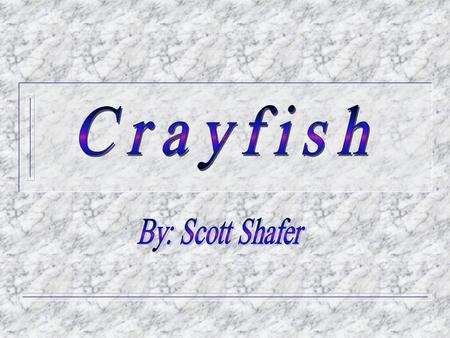 Crayfish F Crayfish are small, freshwater arthropods that resemble lobsters. They are usually brownish-green in color, but some species may be white,