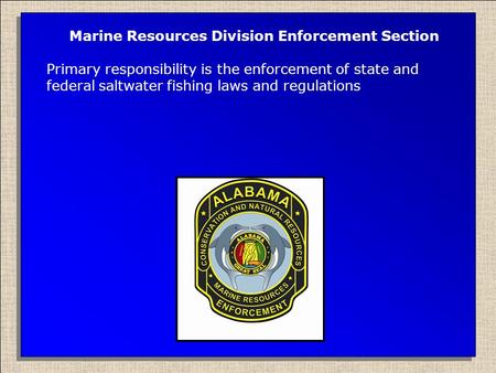 Marine Resources Division Enforcement Section Primary responsibility is the enforcement of state and federal saltwater fishing laws and regulations.