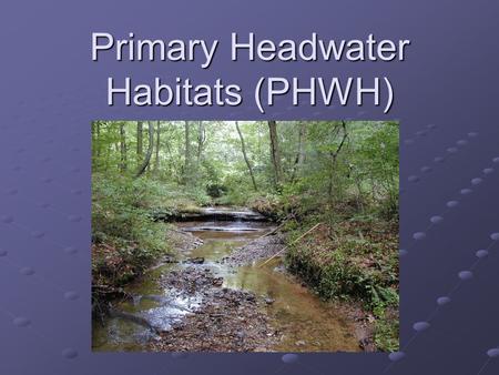 Primary Headwater Habitats (PHWH). The Basics - What is a Primary Headwater Stream? Characteristics: A Watercourse 1 with: A Watercourse 1 with: A defined.