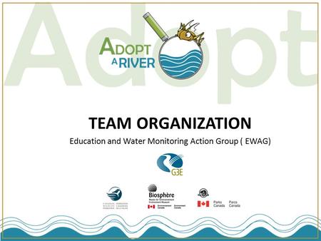 TEAM ORGANIZATION Education and Water Monitoring Action Group ( EWAG)