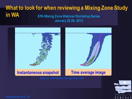 Instantaneous snapshot Time average image Based on: Phil Roberts, Georgia Tech, 2003 What to look for when reviewing a Mixing Zone Study in WA EPA Mixing.