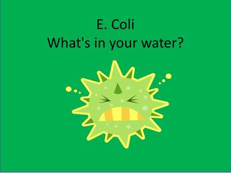 E. Coli What's in your water?. Have you ever wondered what is in your water?