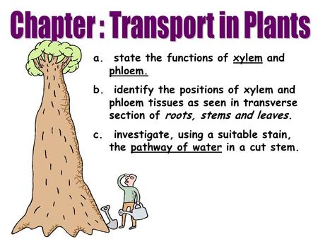 Chapter : Transport in Plants