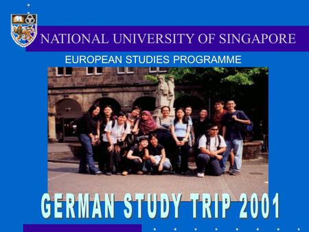 NATIONAL UNIVERSITY OF SINGAPORE EUROPEAN STUDIES PROGRAMME.