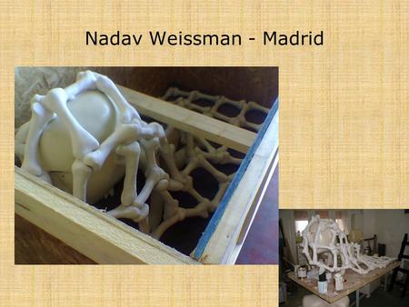 Nadav Weissman - Madrid. Avi Feiler – Costa Rica.