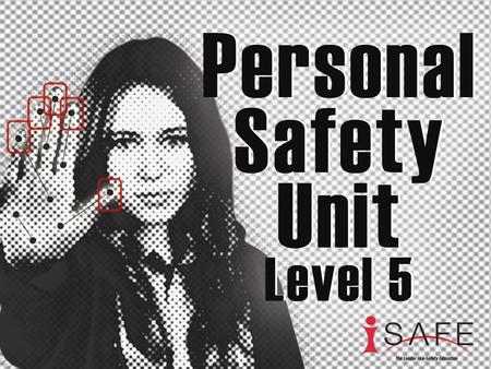 The Plan Today you will be learning about personal safety when online. This unit consists of four mini lessons. The slide show covers all lessons.