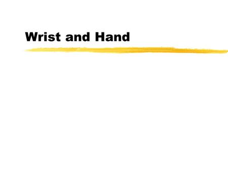 Wrist and Hand.