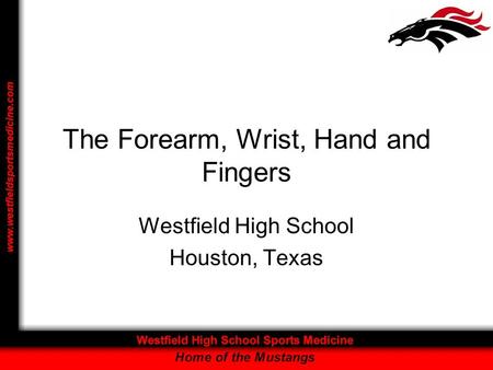 The Forearm, Wrist, Hand and Fingers