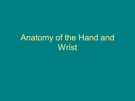 Anatomy of the Hand and Wrist