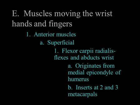 E. Muscles moving the wrist hands and fingers