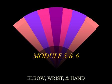 MODULE 5 & 6 ELBOW, WRIST, & HAND. ELBOW w Constitute 6% of all fractures.