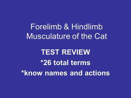 Forelimb & Hindlimb Musculature of the Cat