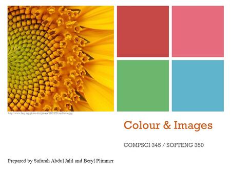 Colour & Images COMPSCI 345 / SOFTENG 350 Prepared by Safurah Abdul Jalil and Beryl Plimmer.