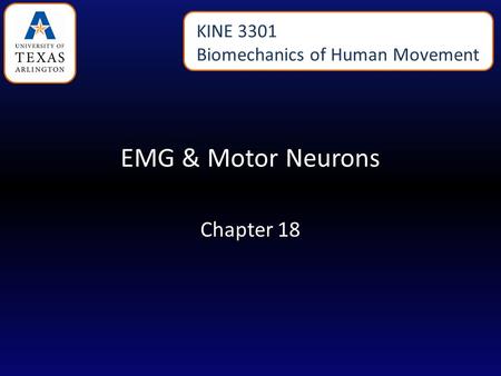 EMG & Motor Neurons Chapter 18 KINE 3301 Biomechanics of Human Movement.
