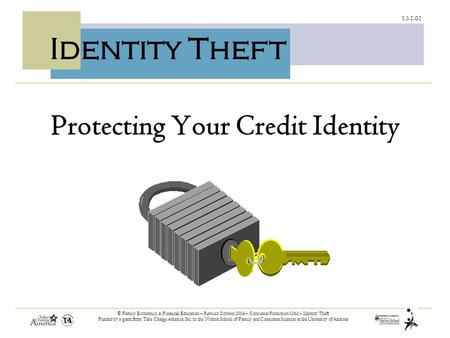 1.3.1.G1 © Family Economics & Financial Education – Revised October 2004 – Consumer Protection Unit – Identity Theft Funded by a grant from Take Charge.