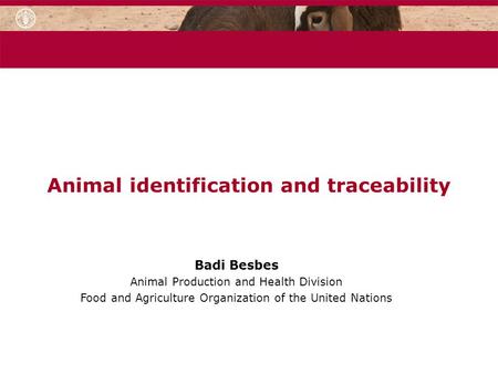 Animal identification and traceability