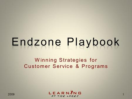 Winning Strategies for Customer Service & Programs 2009 1.