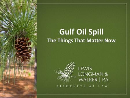 Gulf Oil Spill The Things That Matter Now. Economic Forum Title Rejects The Gulf Oil Spill & Possible Impacts on Florida’s East Coast The Gulf Oil Spill.