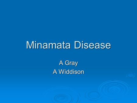 Minamata Disease A Gray A Widdison. What Happened?  In 1907 the Chisso Corporation constructed a Chemical factory in the Japanese town of Minamata 