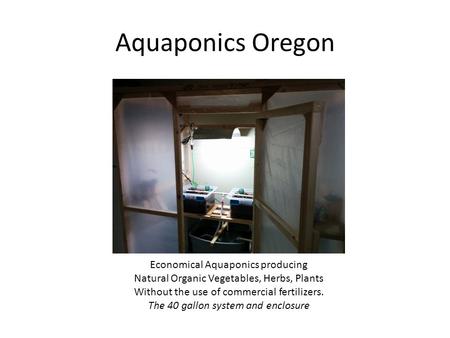 Aquaponics Oregon Economical Aquaponics producing Natural Organic Vegetables, Herbs, Plants Without the use of commercial fertilizers. The 40 gallon system.