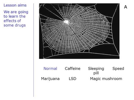 Lesson aims We are going to learn A NormalCaffeineSleeping pill Speed MarijuanaLSDMagic mushroom Lesson aims We are going to learn the effects of some.