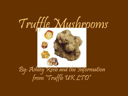 Truffle Mushrooms By: Ashley Reeb and the Information from “Truffle UK LTD”