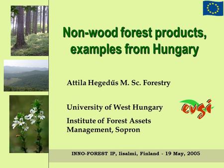 Non-wood forest products, examples from Hungary Attila Hegedűs M. Sc. Forestry University of West Hungary Institute of Forest Assets Management, Sopron.