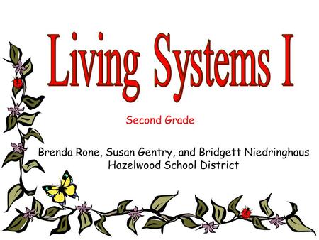 Brenda Rone, Susan Gentry, and Bridgett Niedringhaus Hazelwood School District Second Grade.
