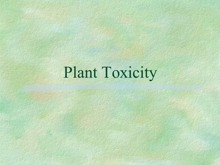 Plant Toxicity. Introduction Frequency of Plant Exposure by Plant Type §Capsicum (pepper plant)(5374 exposures) §Philodendron (4061) §Holly (3441) §Euphorbia.
