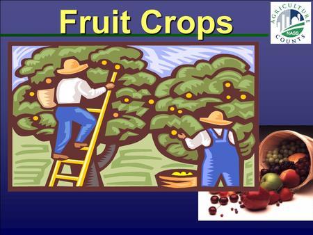 Fruit Crops. Tree Fruit & Grapes Utilized Production Tons Fresh Equivalent Jul 2012 PA - 2010PA - 2011 National Ag Statistics Service-PA, USDA.