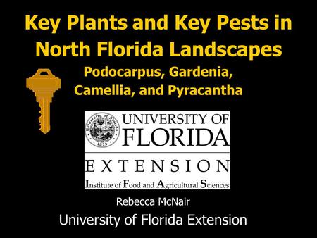 University of Florida Extension