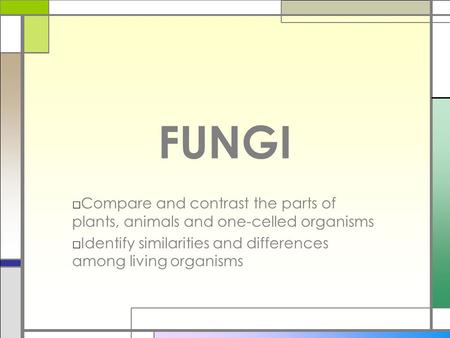 FUNGI Compare and contrast the parts of plants, animals and one-celled organisms Identify similarities and differences among living organisms.