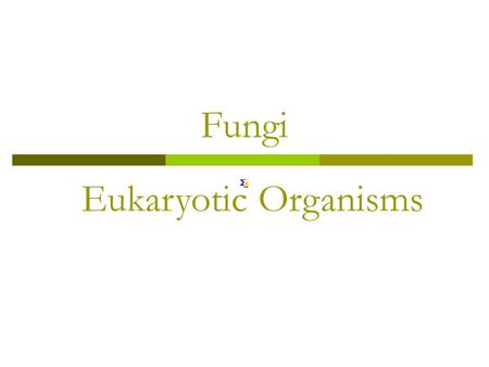 Fungi Eukaryotic Organisms. Fungi  Mycology: The study of fungi.  Fungi: A diverse group! Can be… Heterotrophic: Any organism that cannot synthesize.