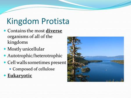 Kingdom Protista Contains the most diverse organisms of all of the kingdoms Mostly unicellular Autotrophic/heterotrophic Cell walls sometimes present Composed.