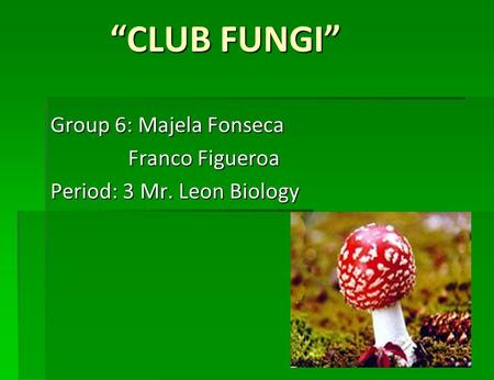 “CLUB FUNGI” Group 6: Majela Fonseca Franco Figueroa Franco Figueroa Period: 3 Mr. Leon Biology.