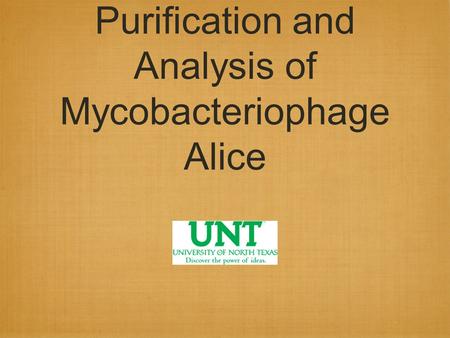Purification and Analysis of Mycobacteriophage Alice.
