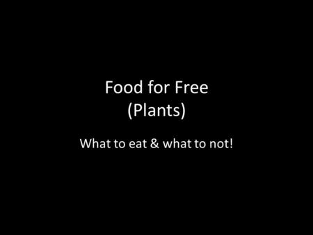 Food for Free (Plants) What to eat & what to not!.
