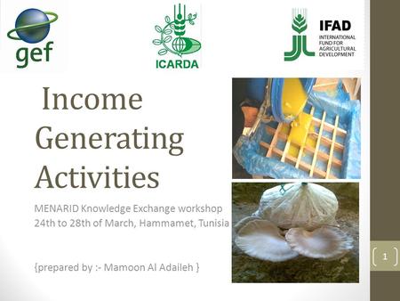 Income Generating Activities MENARID Knowledge Exchange workshop 24th to 28th of March, Hammamet, Tunisia {prepared by :- Mamoon Al Adaileh } 1.