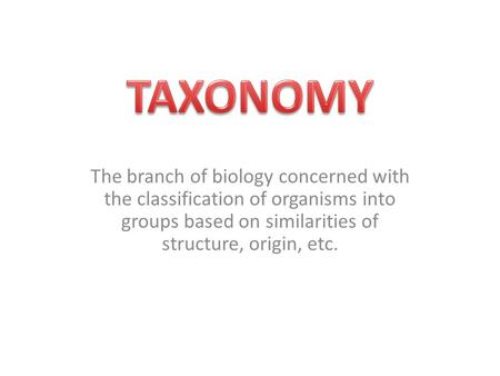 The branch of biology concerned with the classification of organisms into groups based on similarities of structure, origin, etc.