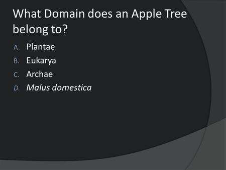 What Domain does an Apple Tree belong to?