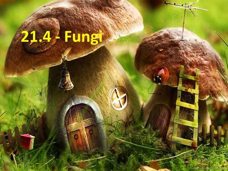 21.4 - Fungi.