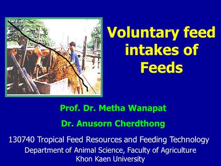 Voluntary feed intakes of Feeds Department of Animal Science, Faculty of Agriculture Khon Kaen University Prof. Dr. Metha Wanapat Dr. Anusorn Cherdthong.