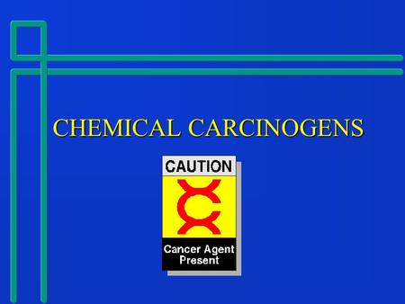 CHEMICAL CARCINOGENS CHEMICAL CARCINOGENS. What is a Chemical Carcinogen?  Any chemical compound which has been shown to cause cancer in humans or in.