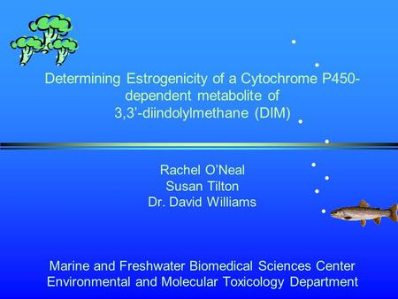 Determining Estrogenicity of a Cytochrome P450- dependent metabolite of 3,3’-diindolylmethane (DIM) Rachel O’Neal Susan Tilton Dr. David Williams Marine.