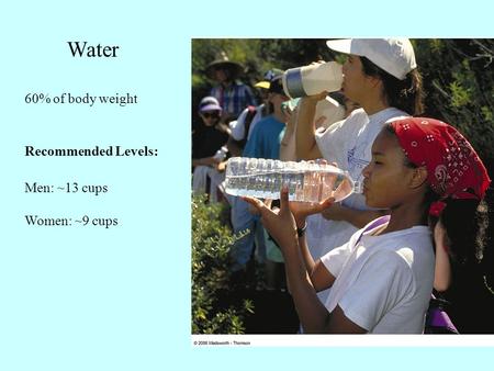 Water 60% of body weight Recommended Levels: Men: ~13 cups Women: ~9 cups.