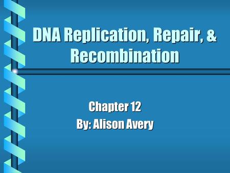 DNA Replication, Repair, & Recombination Chapter 12 By: Alison Avery.