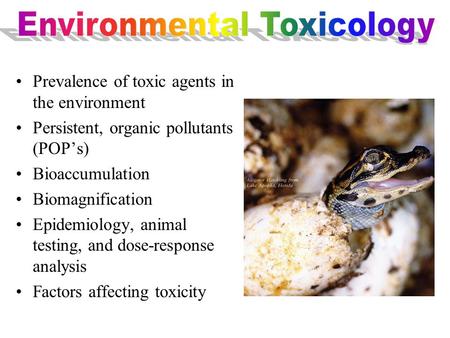 Prevalence of toxic agents in the environment Persistent, organic pollutants (POP’s) Bioaccumulation Biomagnification Epidemiology, animal testing, and.