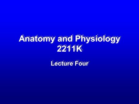 Anatomy and Physiology 2211K Lecture Four. Slide 2 –Upper and lower respiratory tract.